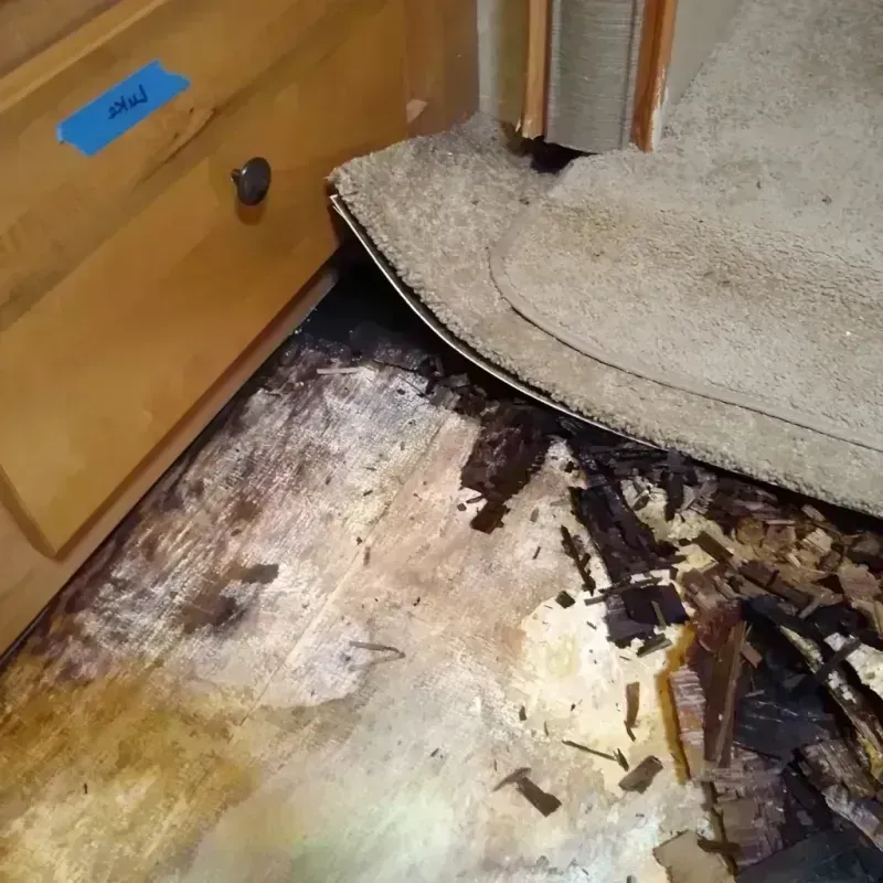 Wood Floor Water Damage in Des Moines, WA